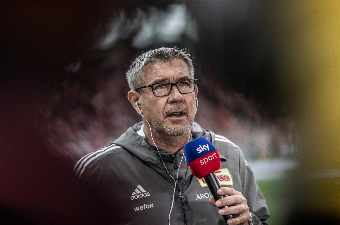 表现出任何 表现出任何