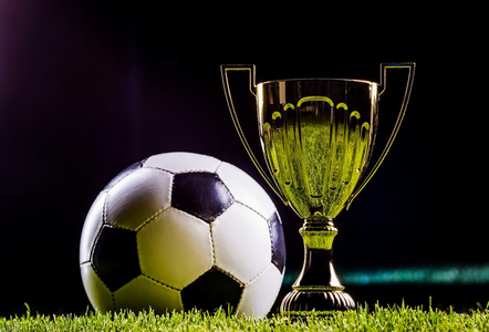 迎接网球生 迎接网球生