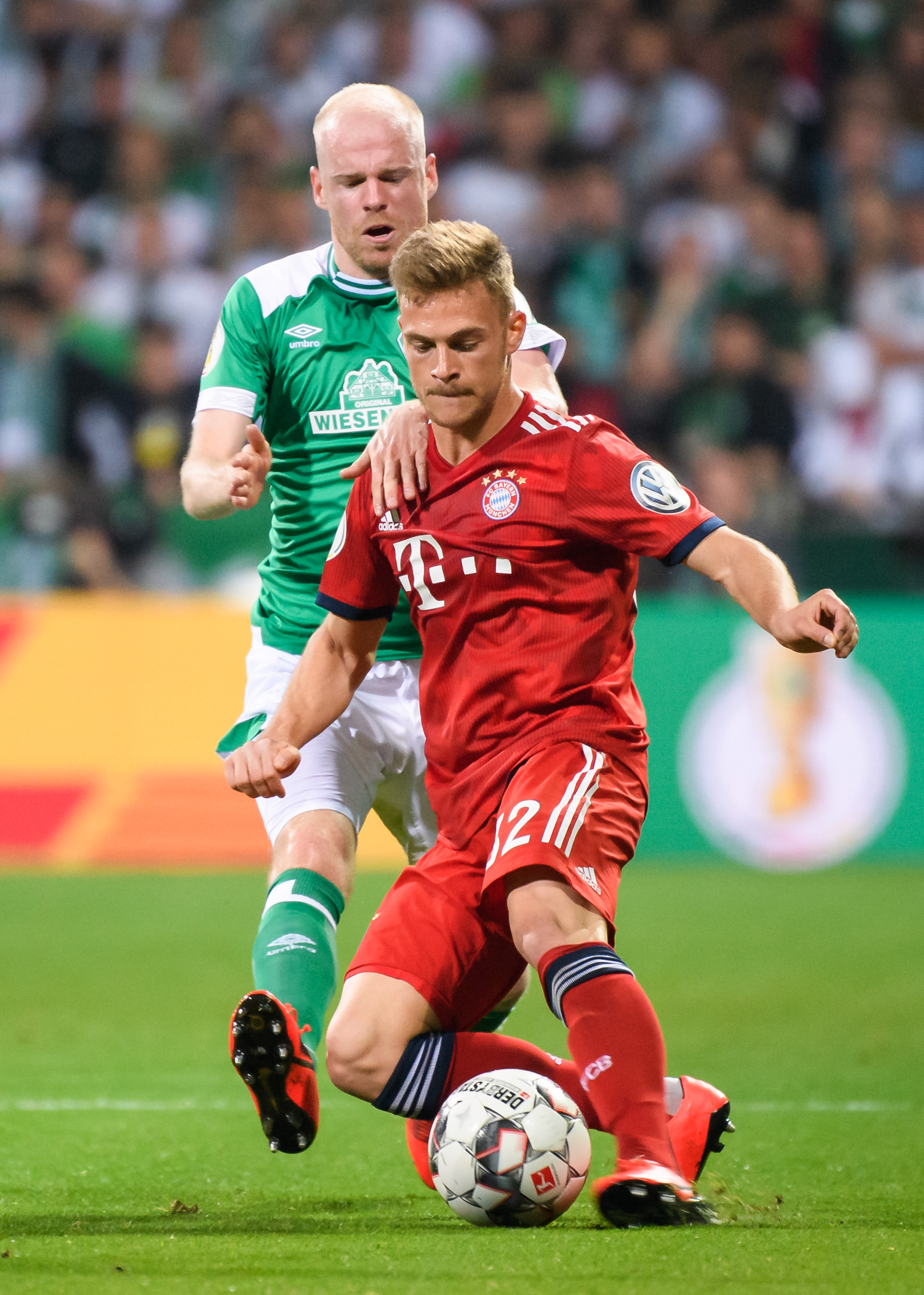 赛的一支劲 赛的一支劲